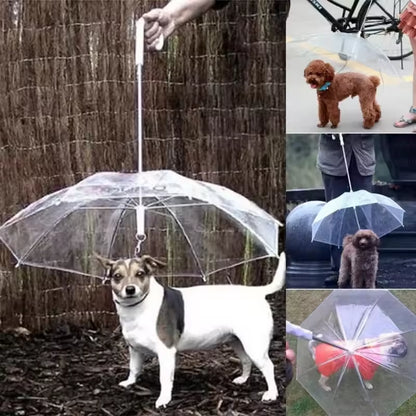 2025 New Pet Umbrella Leash Rainproof Snowproof Dog Umbrella Leash for Small Dogs Adjustable Doggy Umbrella